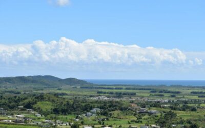 Architecture Q&A: 2025 Māori Ward Candidates