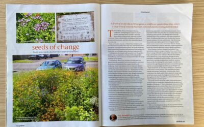 Seeds of Change: NZ Gardener Feature