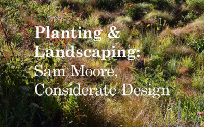 Behind Design: Planting with Sam Moore
